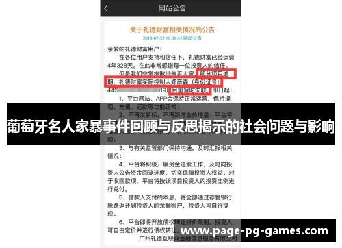 葡萄牙名人家暴事件回顾与反思揭示的社会问题与影响
