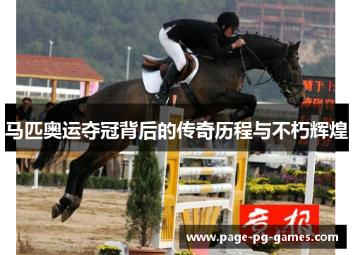 马匹奥运夺冠背后的传奇历程与不朽辉煌